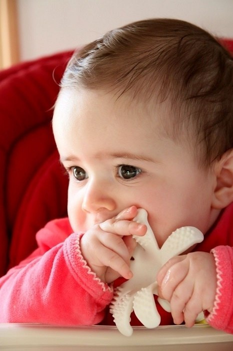 Mombella Gryzak Zabawka Ośmiornica Lemon