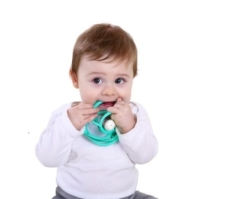 Mombella Gryzak z Grzechotką Ślimak Green